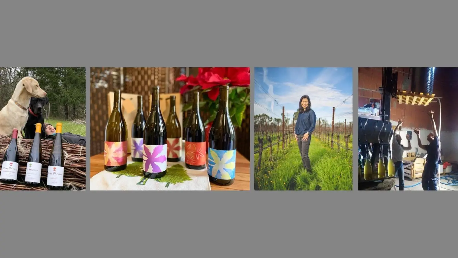 AAPIH Heritage Month | Wine Tasting | Featuring Japanese Female Winemakers